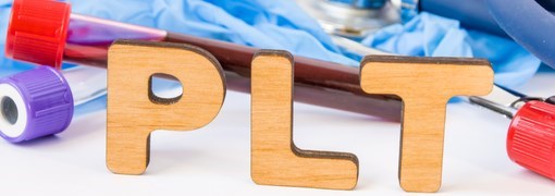 בדיקת טסיות דם - (PLT Platelets) - תמונה